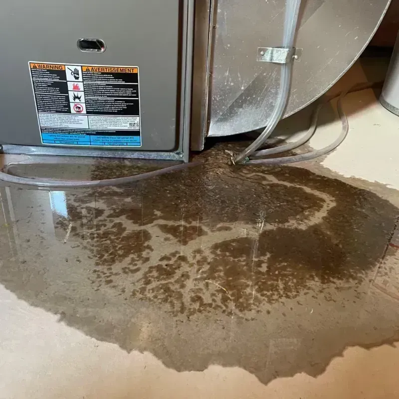 Appliance Leak Cleanup in Boone County, WV